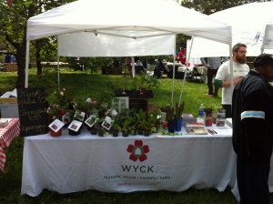 Wyck's table at Mt. Airy Day.